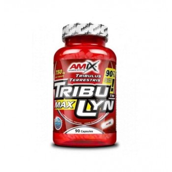 Amix - Tribu Lyn 90% 90...